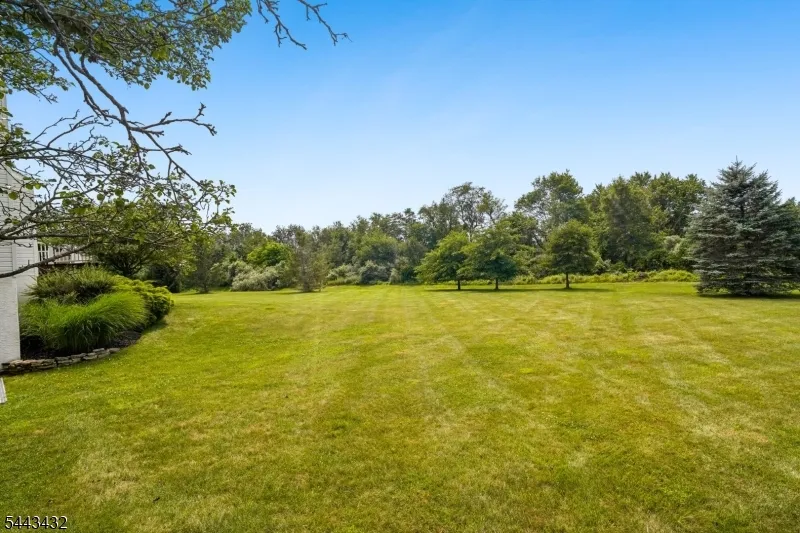 3 Balmoral Drive Alexandria, NJ 08867