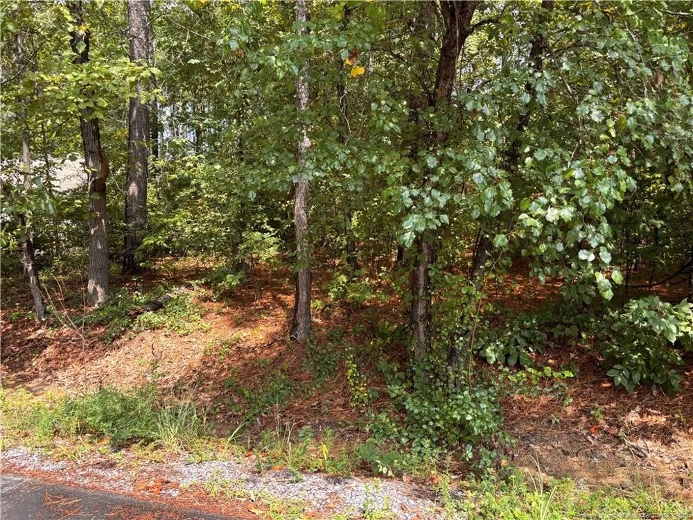 668 CHELSEA DRIVE Sanford, NC 27332