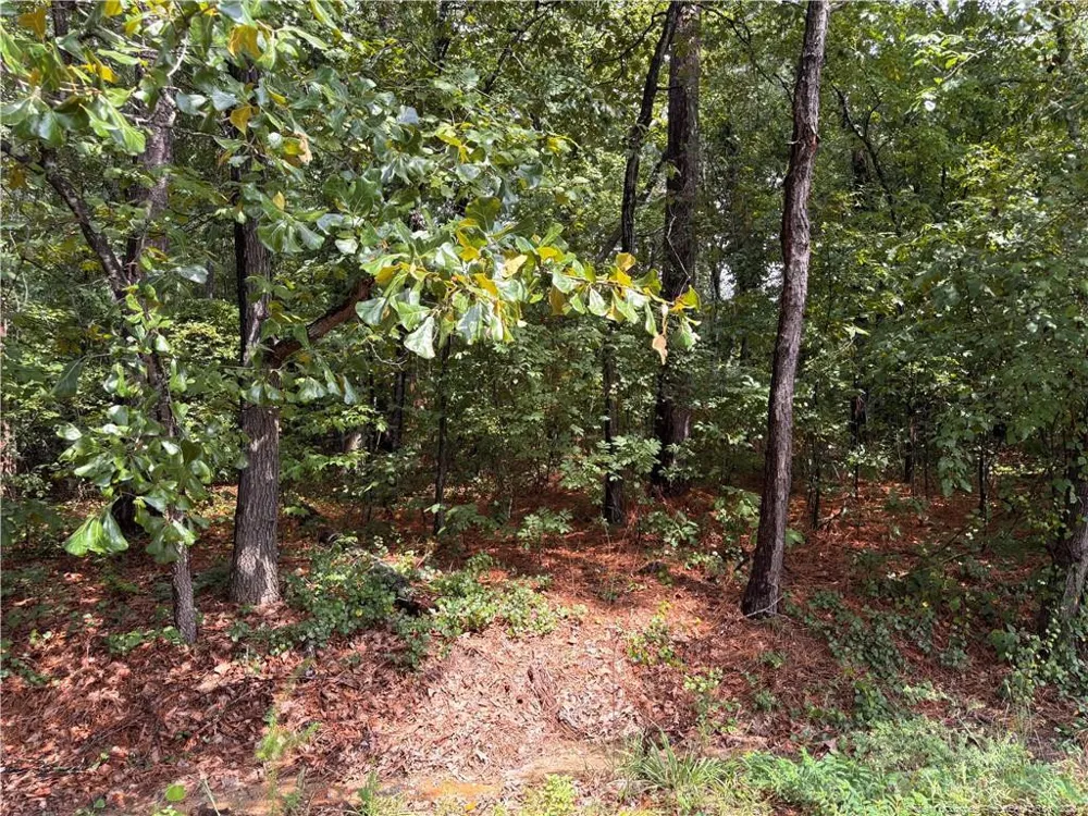 668 CHELSEA DRIVE Sanford, NC 27332