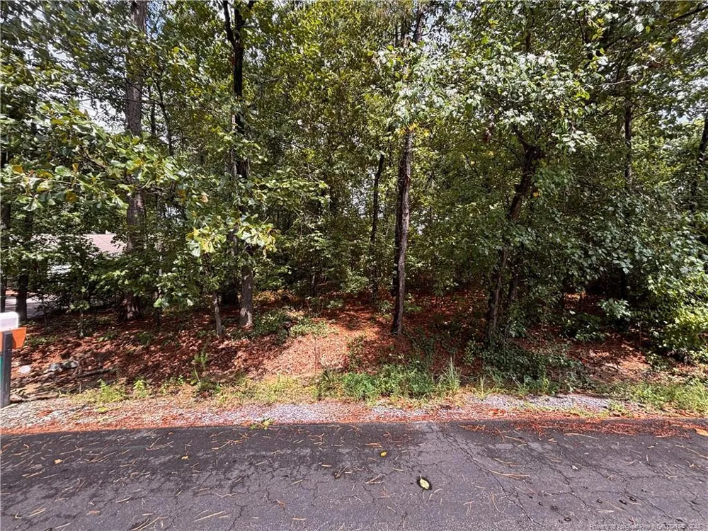 668 CHELSEA DRIVE Sanford, NC 27332
