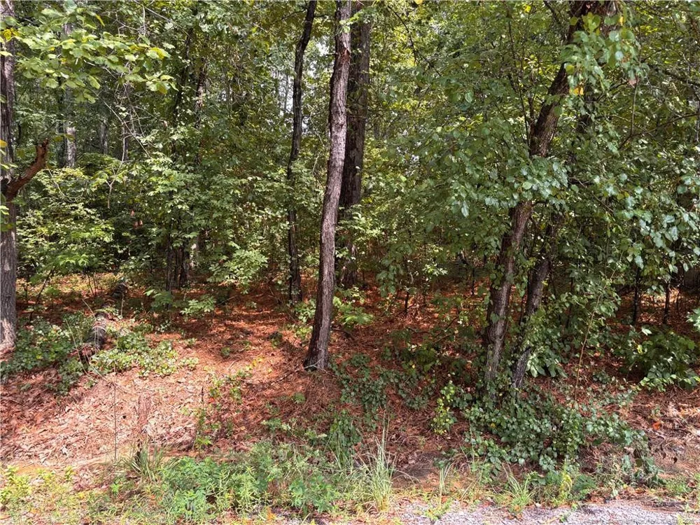 668 CHELSEA DRIVE Sanford, NC 27332