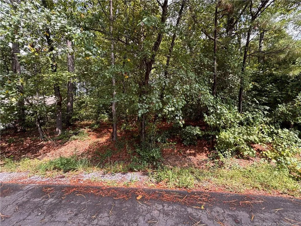 668 CHELSEA DRIVE Sanford, NC 27332