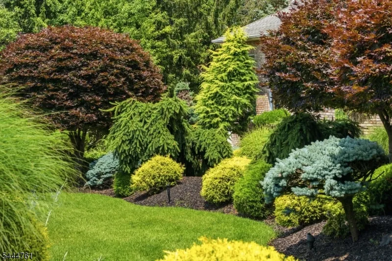 1 WIMBLEDON COURT Cedar Grove, NJ 07009