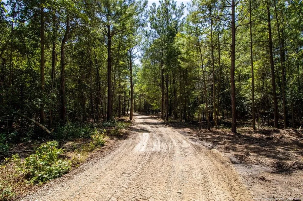 TBD Balfour Road Lumber Bridge, NC 28357