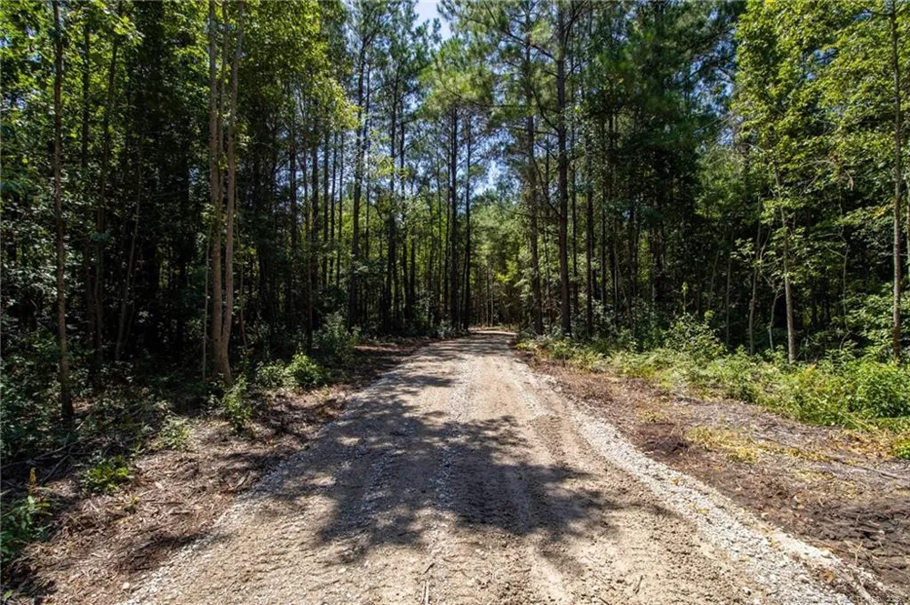 TBD Balfour Road Lumber Bridge, NC 28357