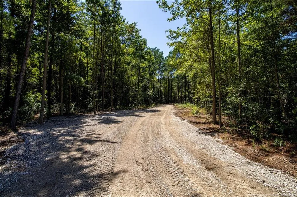 TBD Balfour Road Lumber Bridge, NC 28357