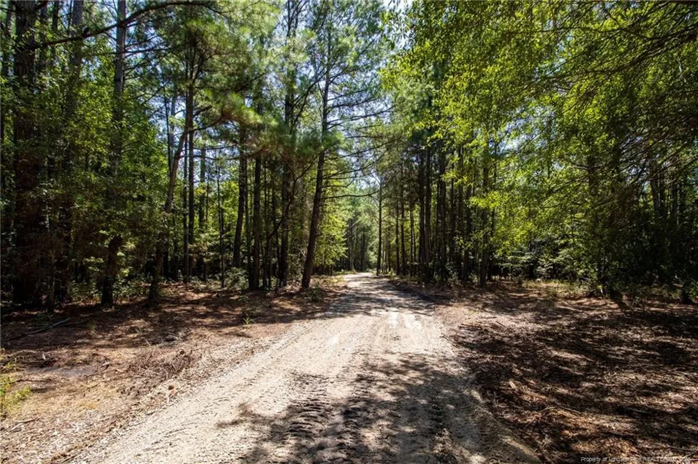 TBD Balfour Road Lumber Bridge, NC 28357