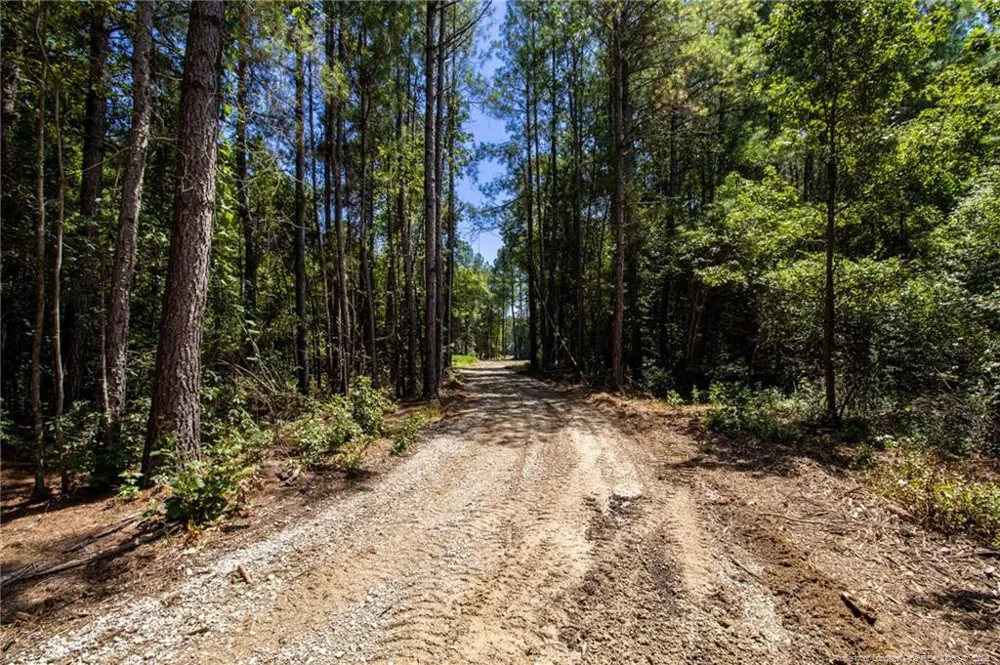 TBD Balfour Road Lumber Bridge, NC 28357
