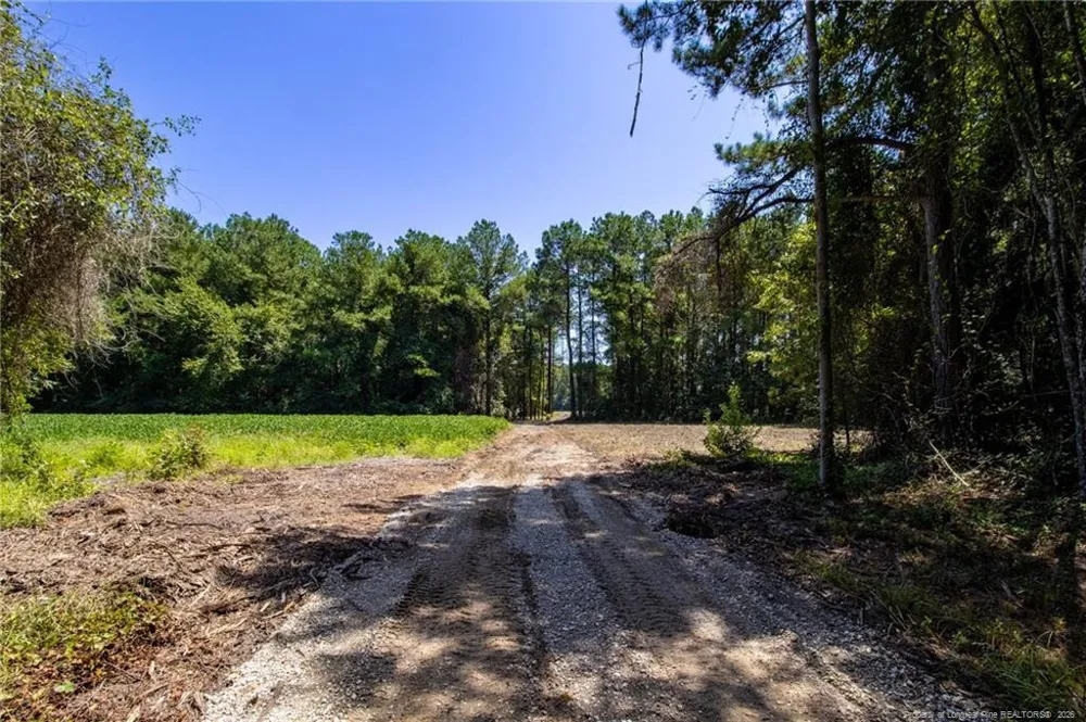 TBD Balfour Road Lumber Bridge, NC 28357