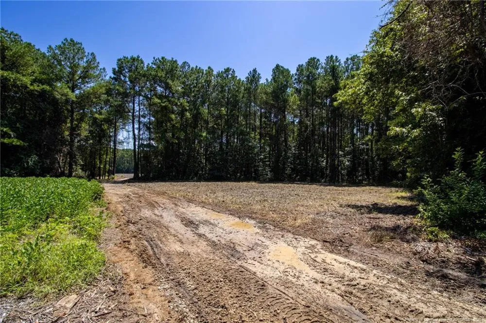 TBD Balfour Road Lumber Bridge, NC 28357