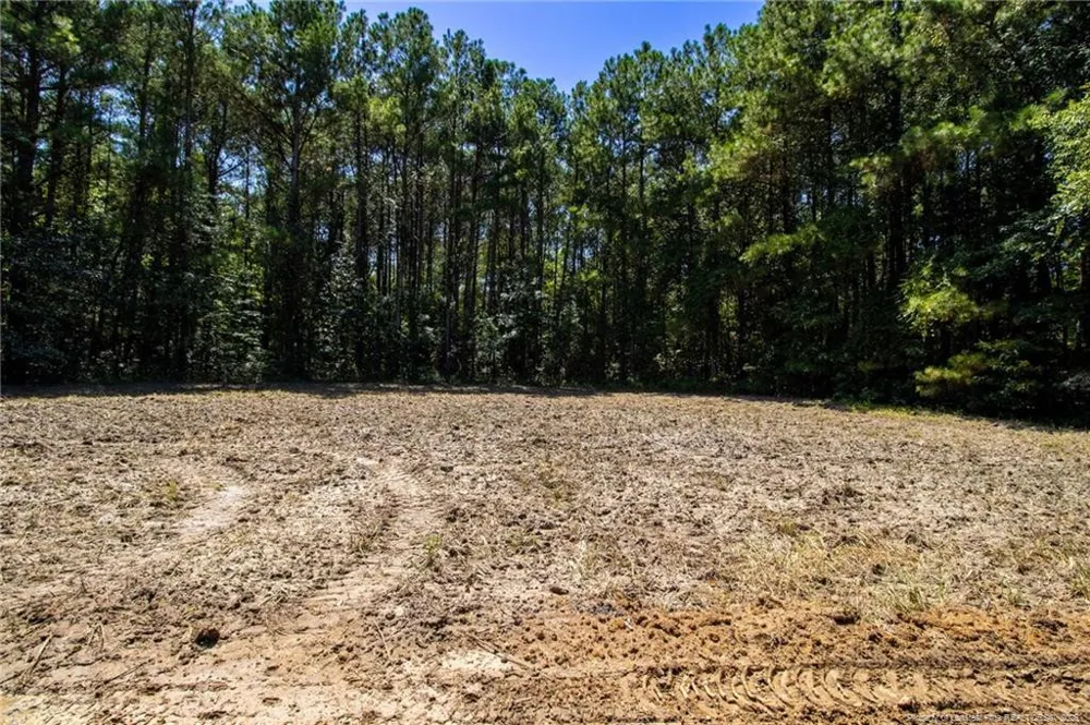 TBD Balfour Road Lumber Bridge, NC 28357