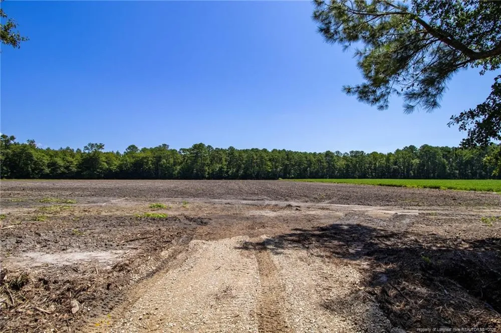 TBD Balfour Road Lumber Bridge, NC 28357