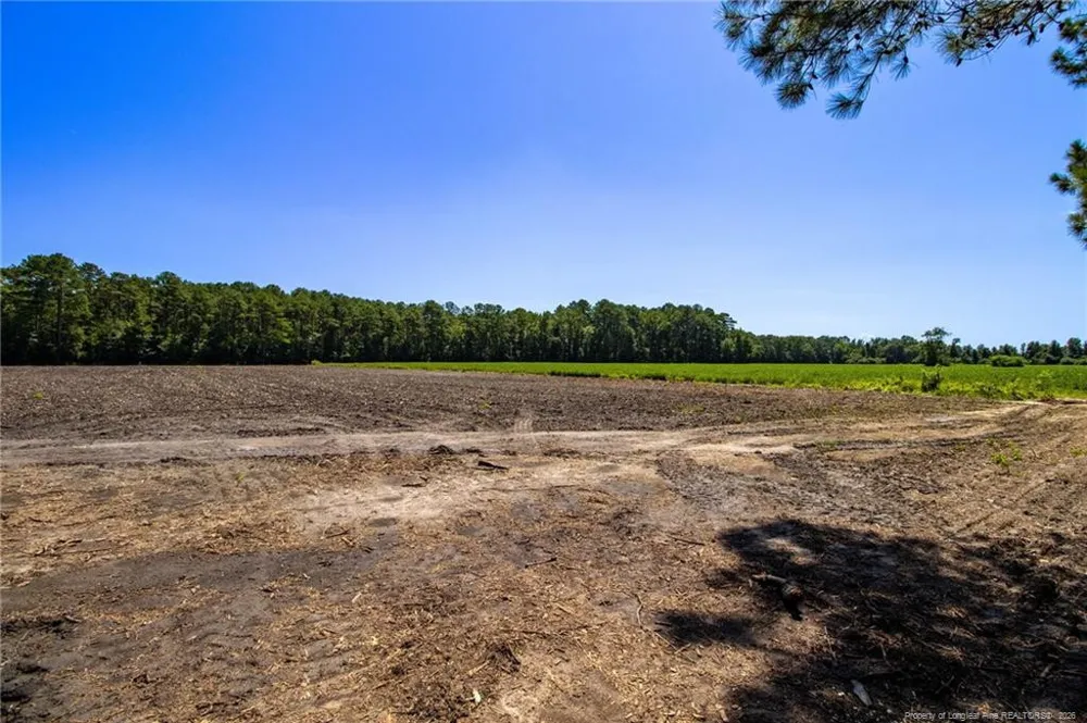 TBD Balfour Road Lumber Bridge, NC 28357