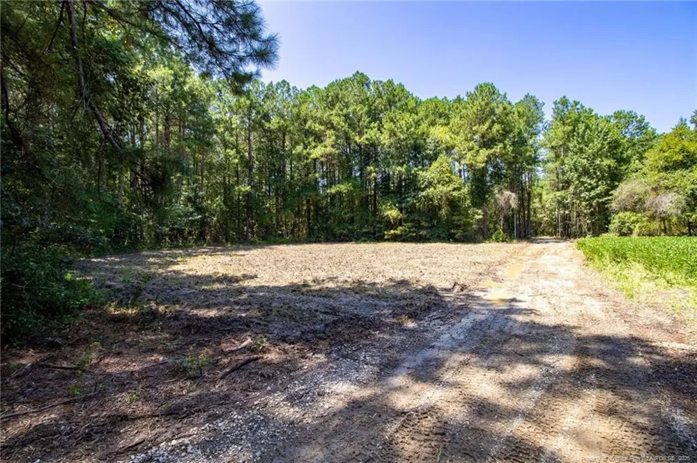TBD Balfour Road Lumber Bridge, NC 28357