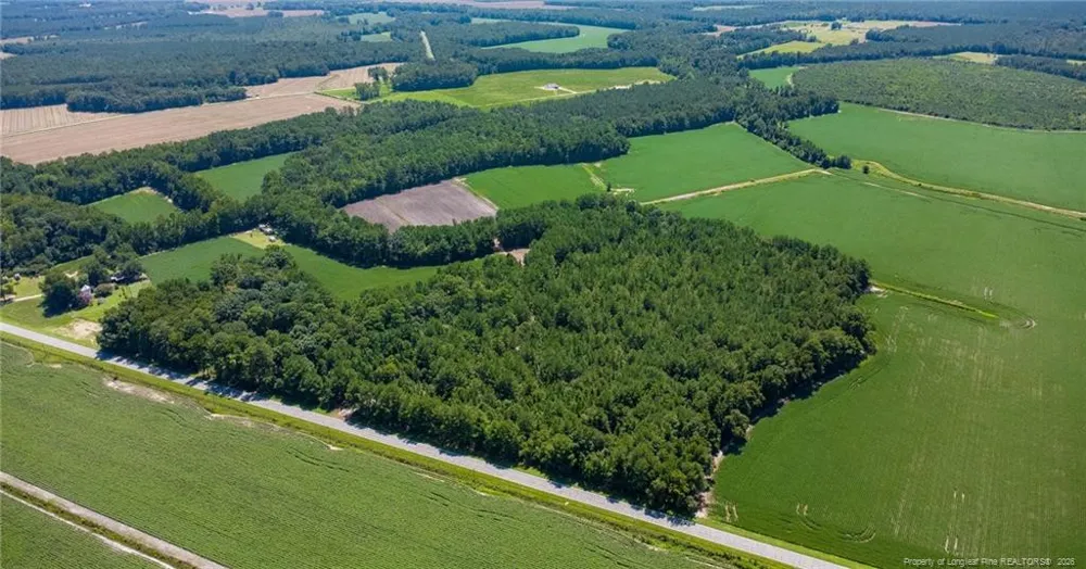TBD Balfour Road Lumber Bridge, NC 28357