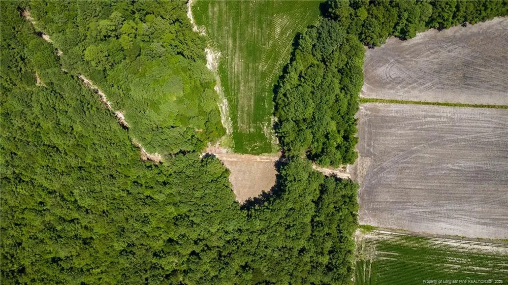 TBD Balfour Road Lumber Bridge, NC 28357