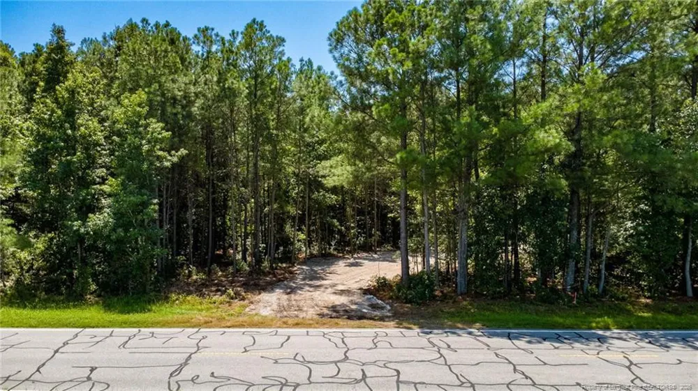 TBD Balfour Road Lumber Bridge, NC 28357