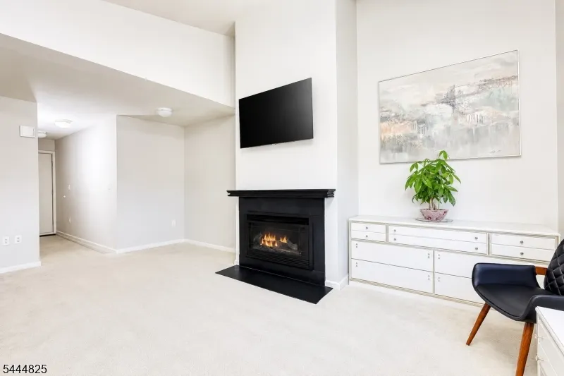158 Falcon Ridge Way #158 Unit 158 Hamburg, NJ 07419