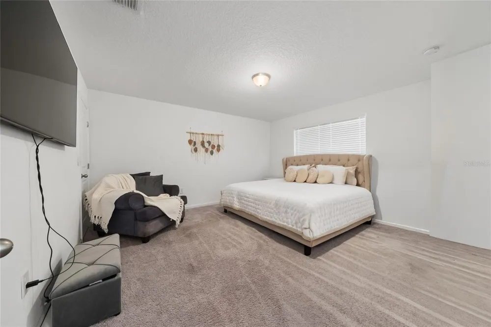 2149 TREASURE HILL STREET STREET Minneola, FL 34715