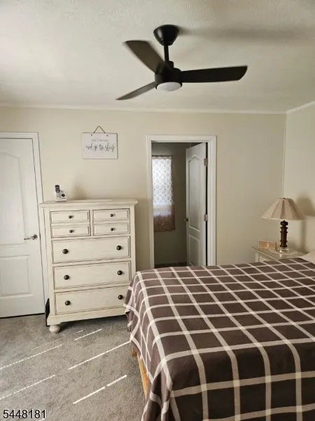 225 ALBERT ST Lodi, NJ 07644