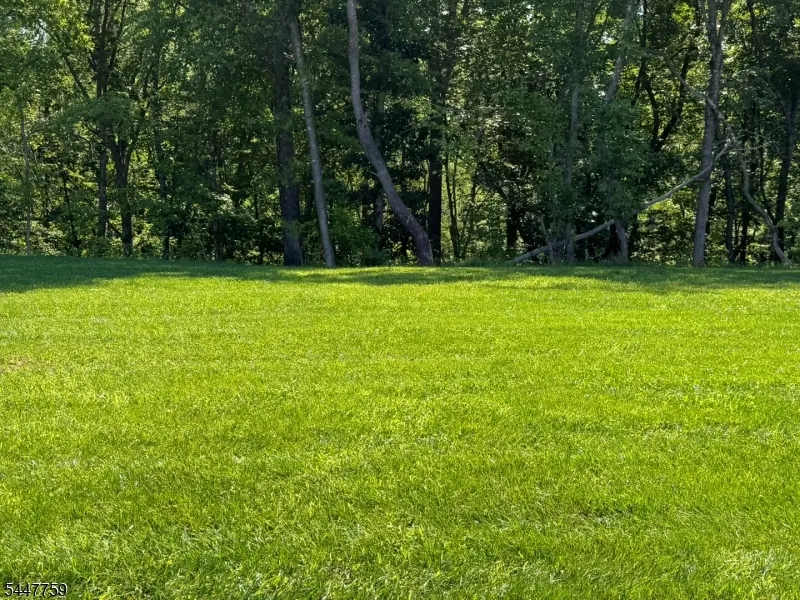 40 Thomas Knoll Blvd Mansfield, NJ 07865