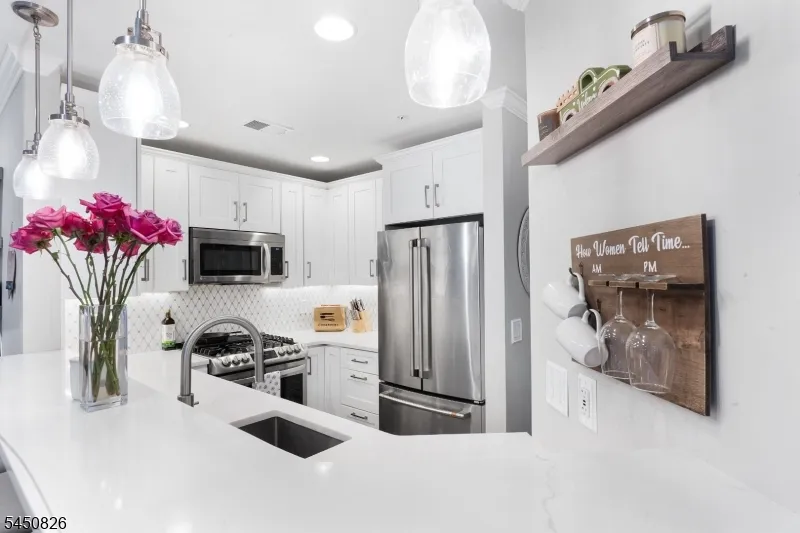 205 Sheffield Ct Denville, NJ 07834