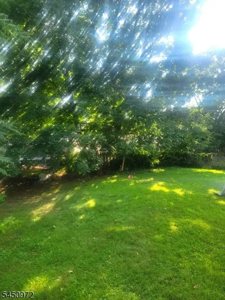 148 Pineview Ter Plainfield City, NJ 07062