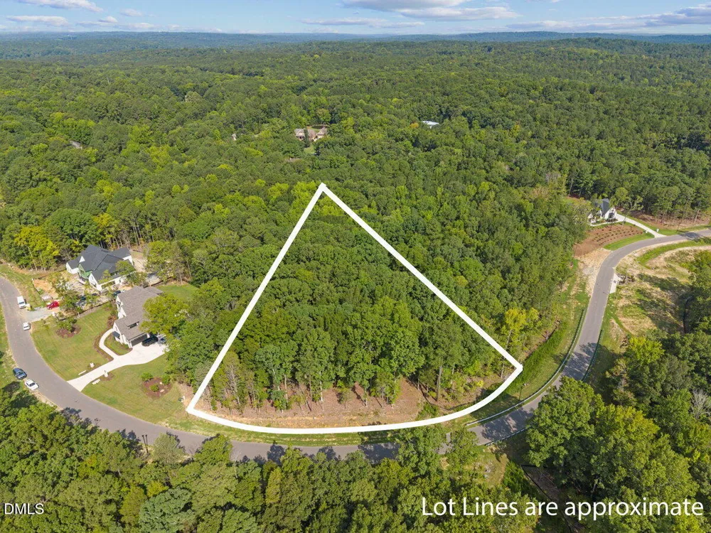 93 Firefly Overlook Road Pittsboro, NC 27312