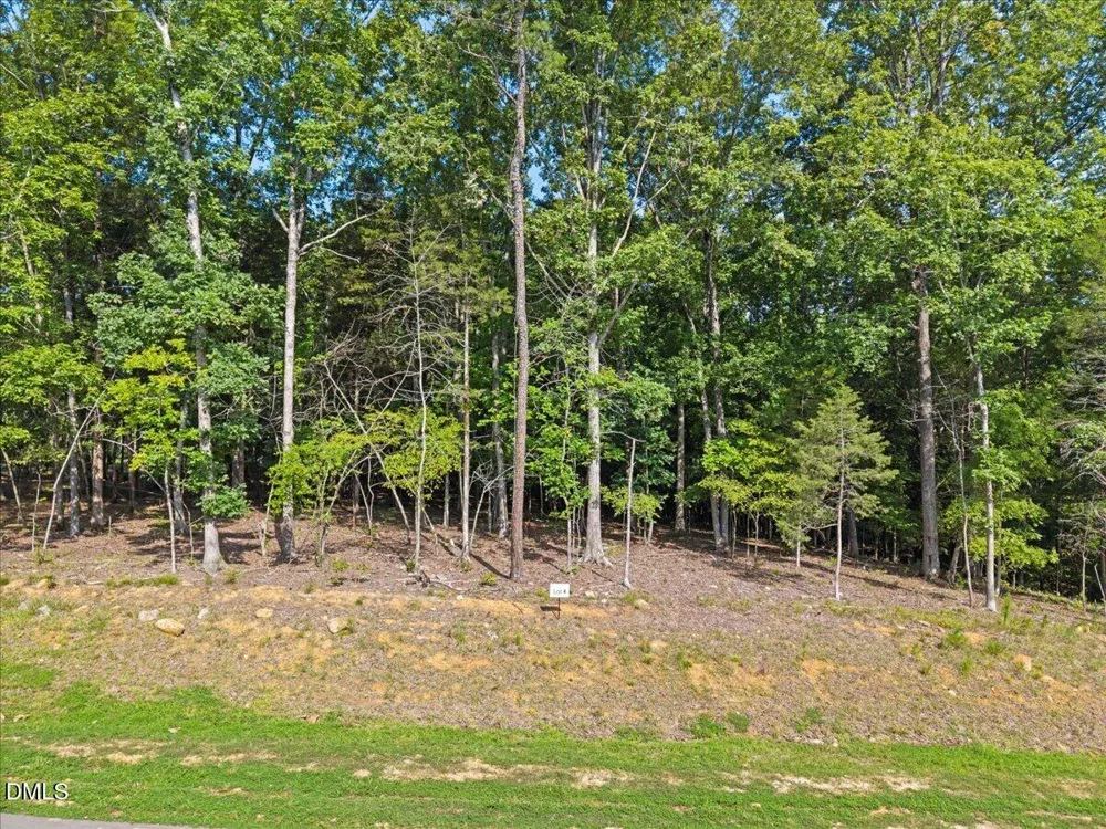 93 Firefly Overlook Road Pittsboro, NC 27312