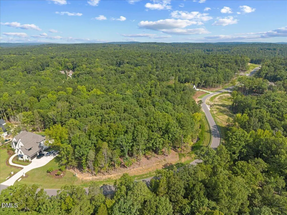 93 Firefly Overlook Road Pittsboro, NC 27312