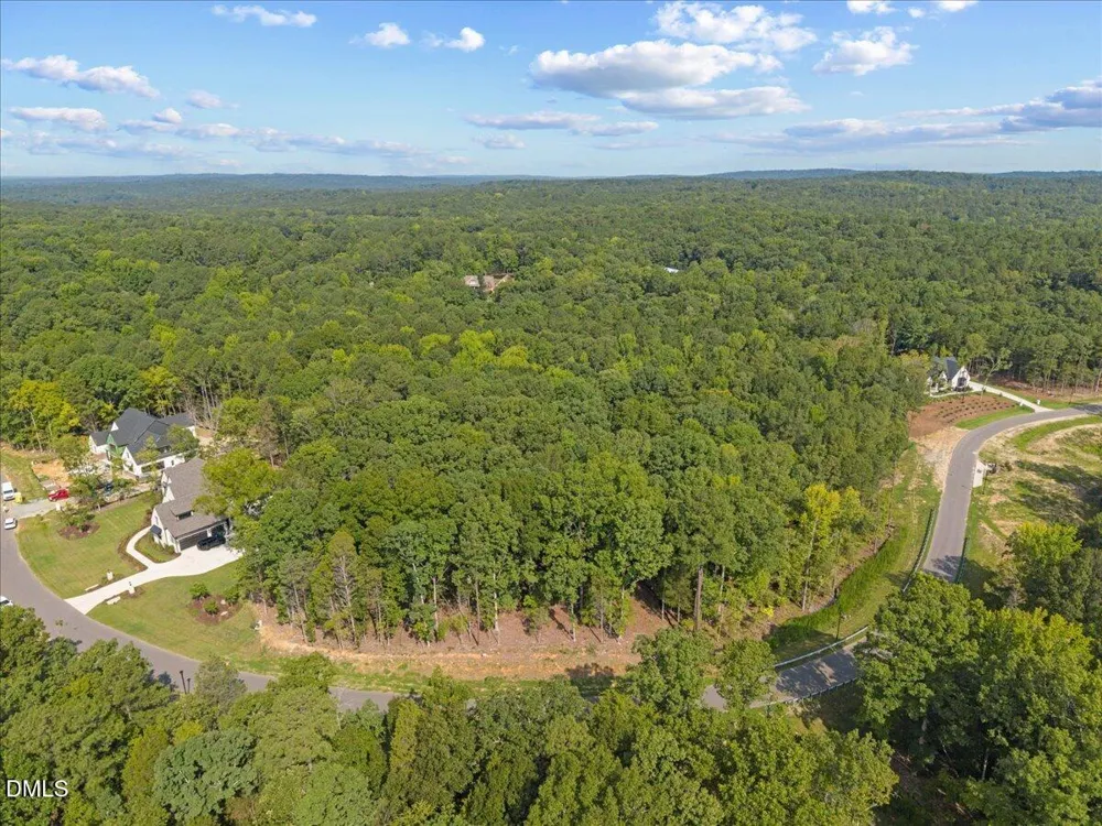 93 Firefly Overlook Road Pittsboro, NC 27312
