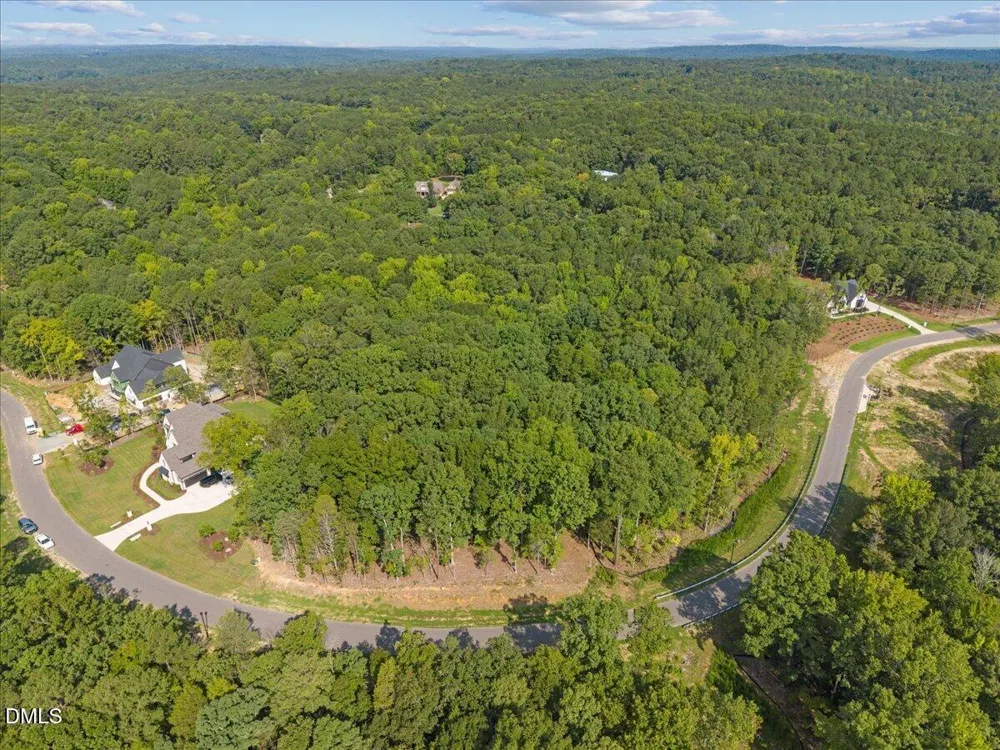 93 Firefly Overlook Road Pittsboro, NC 27312