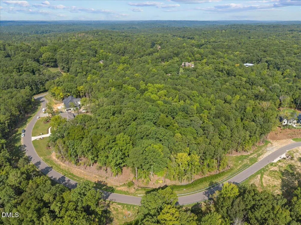 93 Firefly Overlook Road Pittsboro, NC 27312