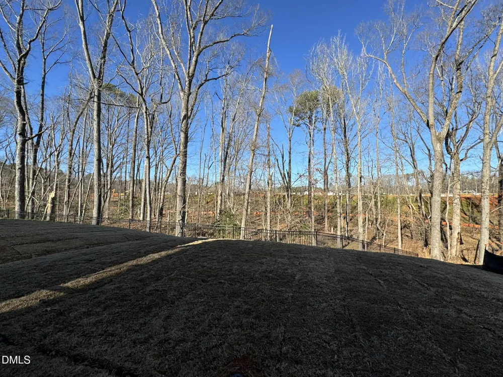 163 Glen Clova Drive Raleigh, NC 27603