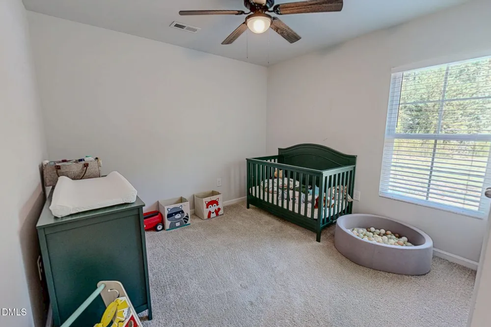 153 Sabins Estates Drive Rougemont, NC 27572