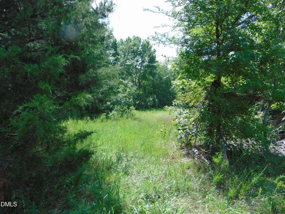 0 Highway 86 Yanceyville, NC 27379
