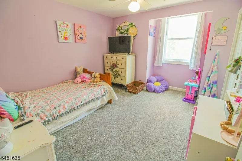 38 Sally Harden Rd Wantage, NJ 07461