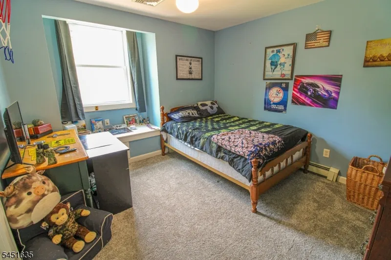 38 Sally Harden Rd Wantage, NJ 07461