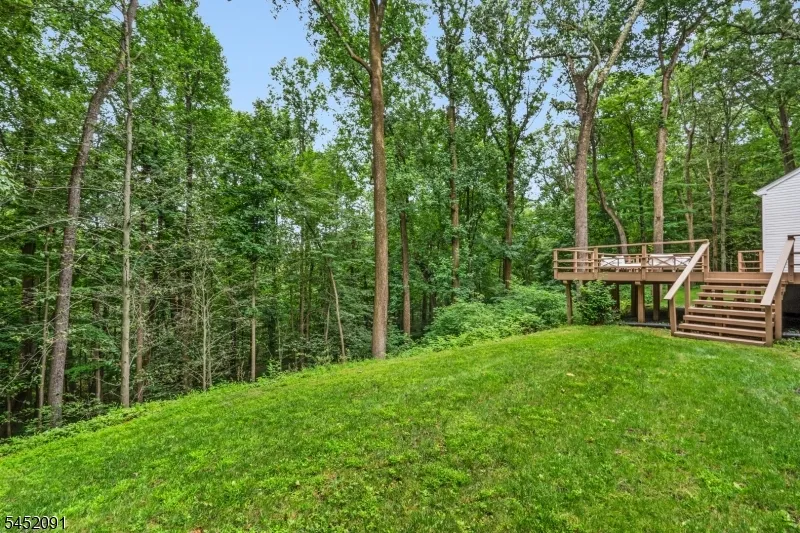31 Warren Cutting Chester, NJ 07930