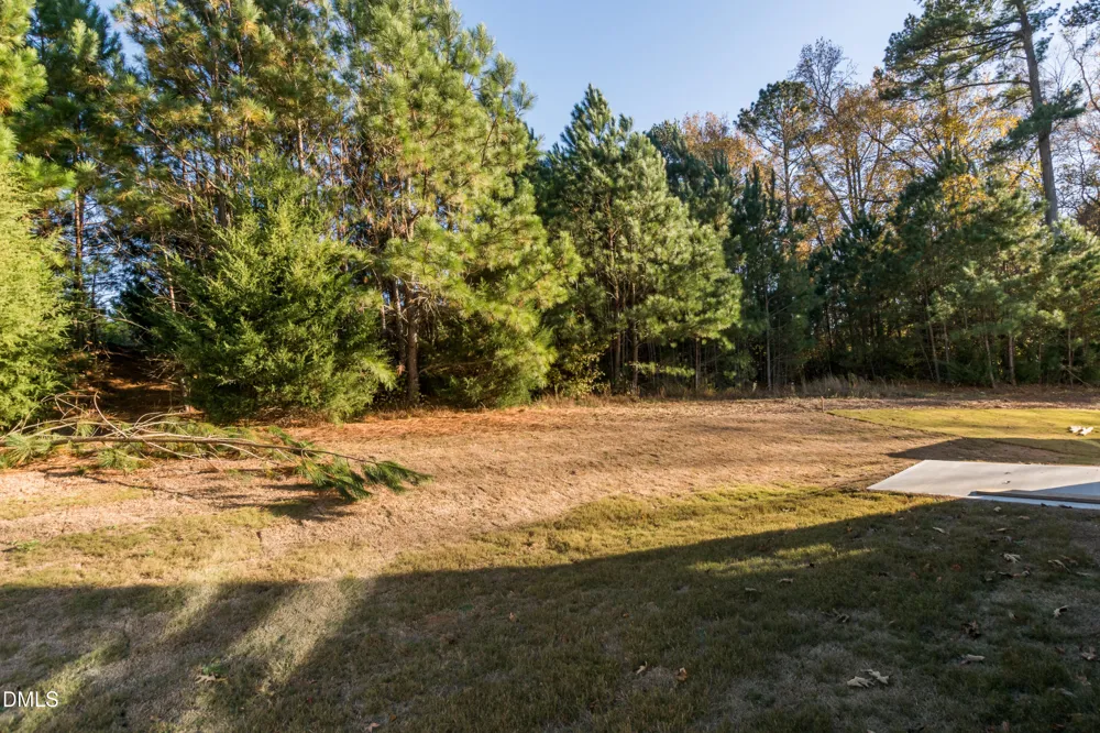 254 Starlet Rdg Way Clayton, NC 27520