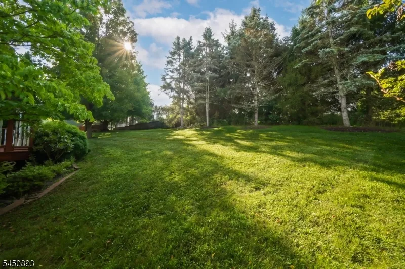5 Pegasus Pl Washington, NJ 07840