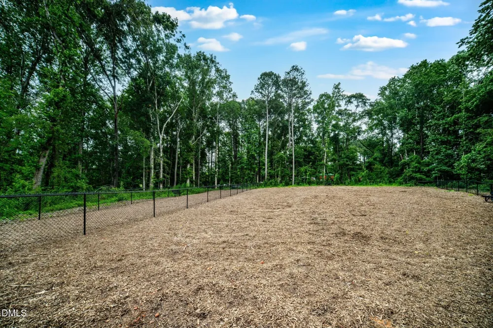 652 Morning Light Drive Angier, NC 27501