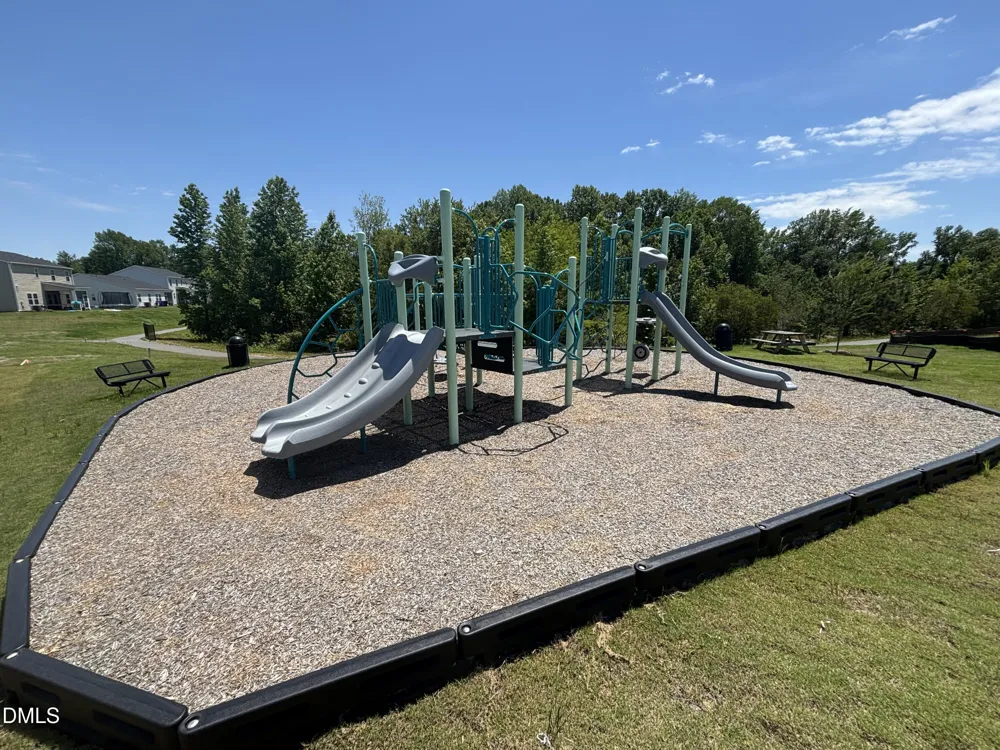 224 Blossom Field Way Angier, NC 27501