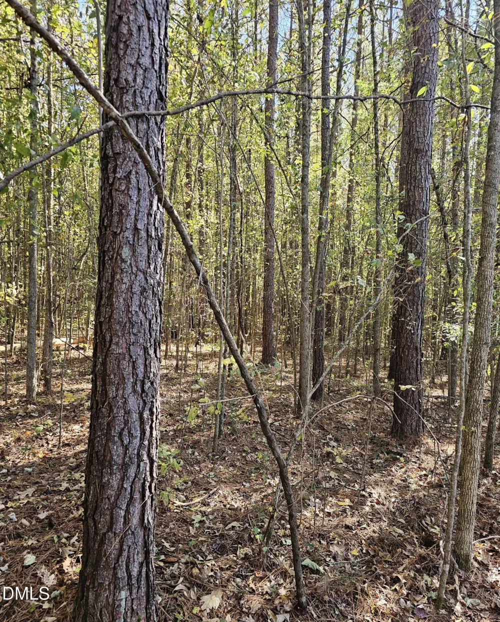 850 Clarence Phillips Road Bennett, NC 27208