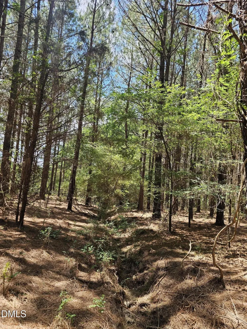 850 Clarence Phillips Road Bennett, NC 27208