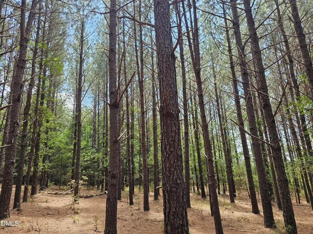 850 Clarence Phillips Road Bennett, NC 27208