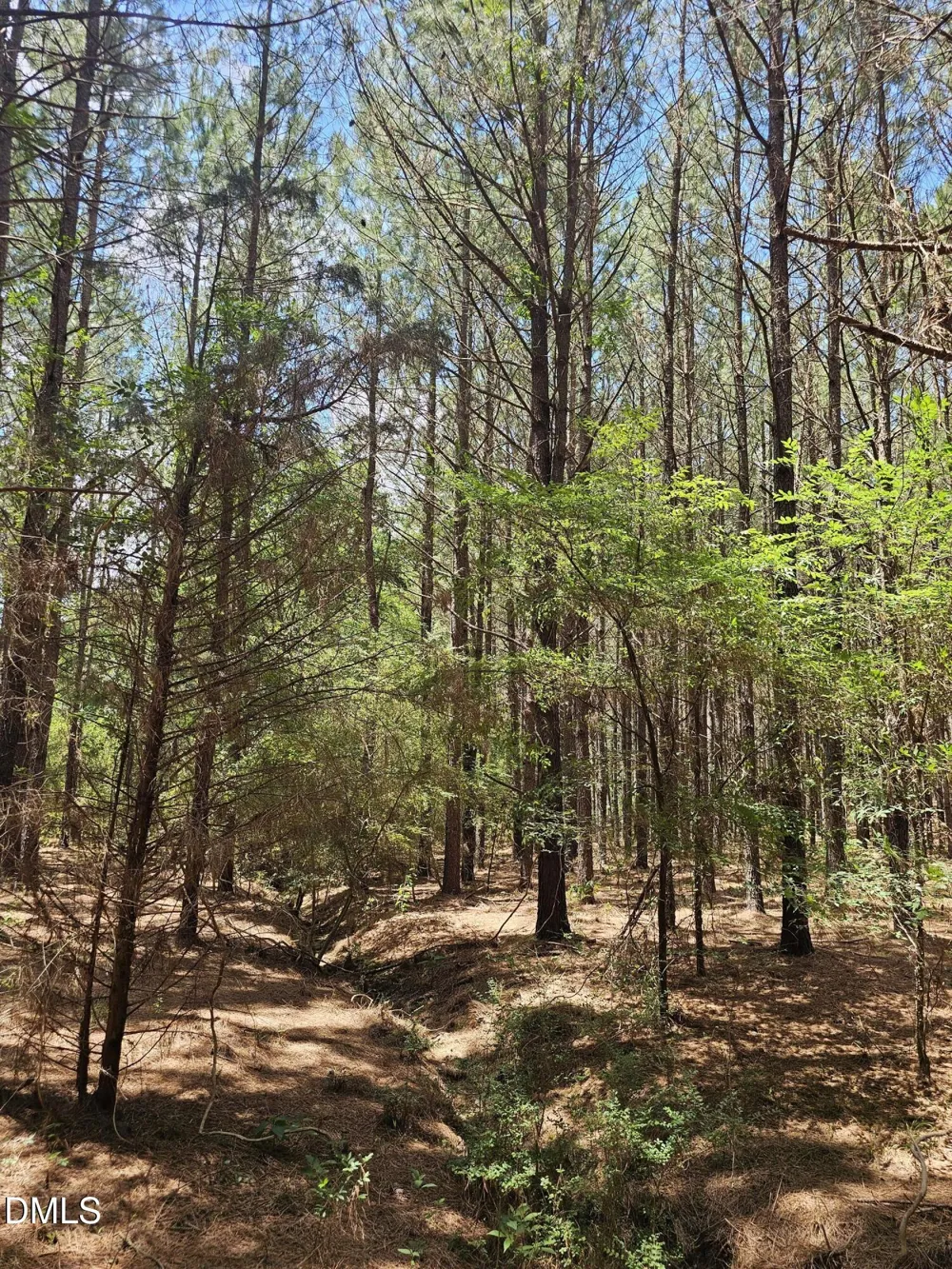 850 Clarence Phillips Road Bennett, NC 27208