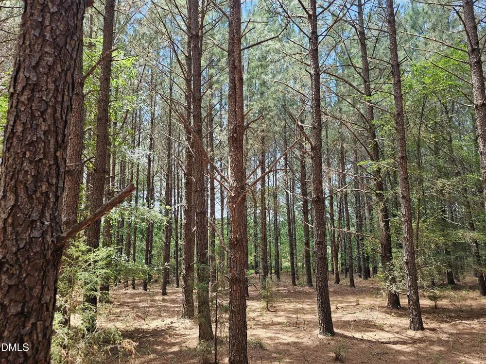 850 Clarence Phillips Road Bennett, NC 27208