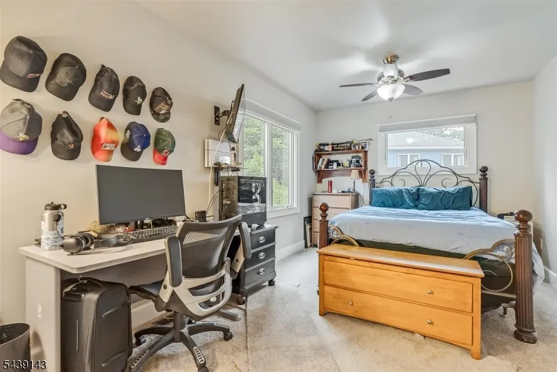 17 Cedar Falls Ter Sparta, NJ 07871