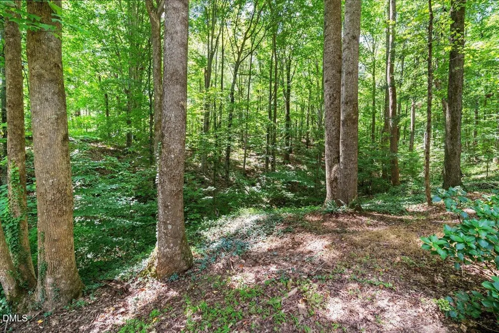 14033 Bold Run Hill Road Wake Forest, NC 27587